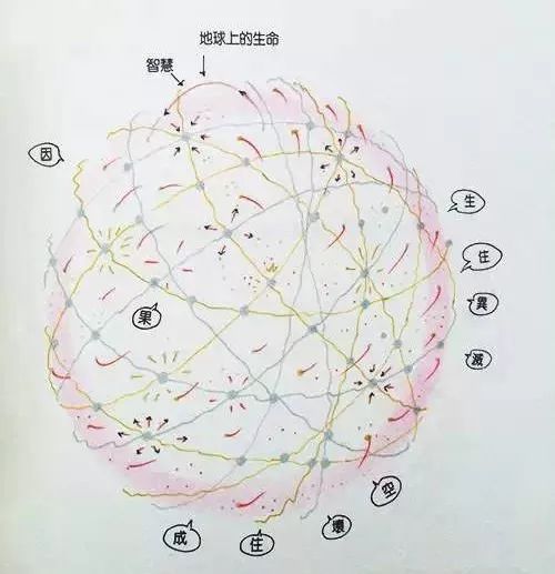 宇宙生命之谜漫画,宇宙自然生命简史漫画