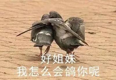 高段位心机女电视剧,心机婊宫斗合集