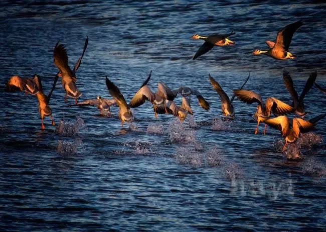 秋季人少景美的小众旅行地,最清静优雅的旅游之地