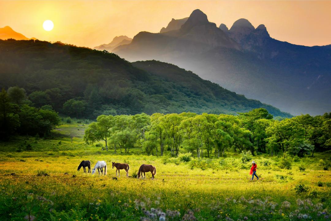 红色钢都不负遇见|鞍山文旅精品线路推荐(下)