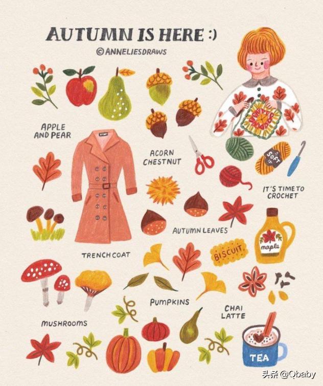 适合零基础学画的工具,零基础入门绘画工具