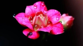 当你生气时看看女生的态度,当你生气时看一看你会明白很多