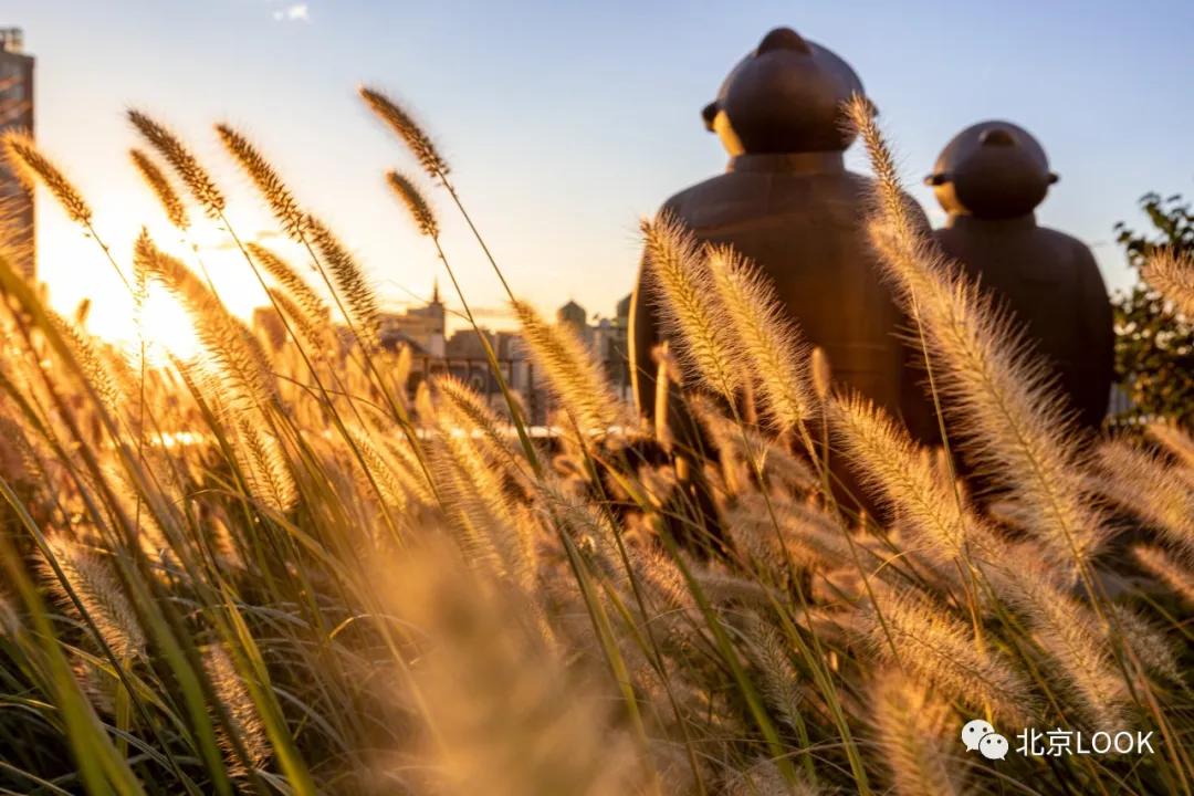soho极简小办公室,soho北京总部设计