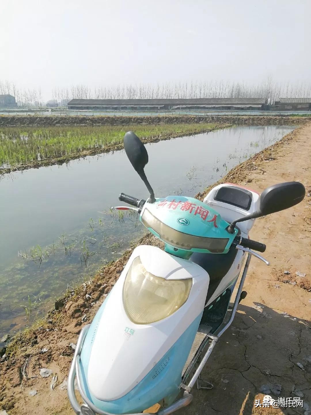 湖北监利新闻谢岳成,监利谢岳成