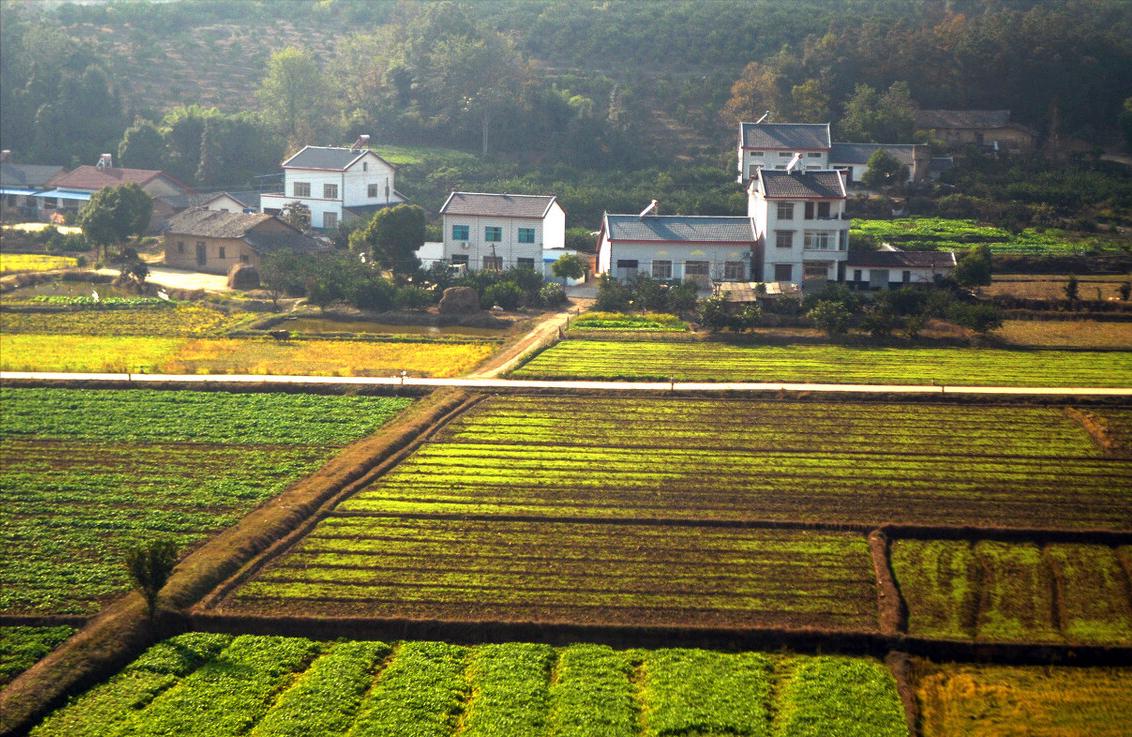 河南宅基地确权政策新规2021年,河北宅基地确权2021年规定面积