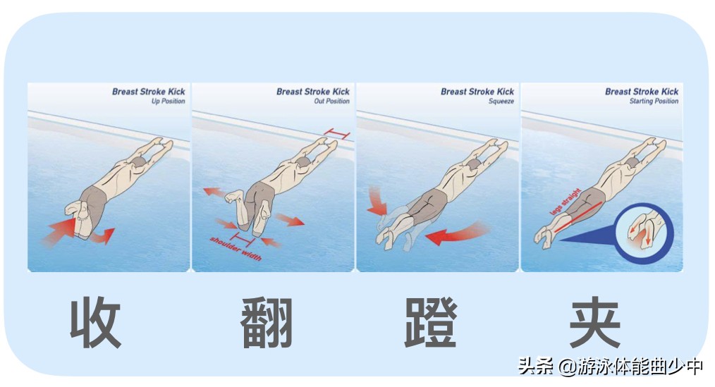 蛙泳手蝶泳腿的练习,学生蛙泳腿陆上练习
