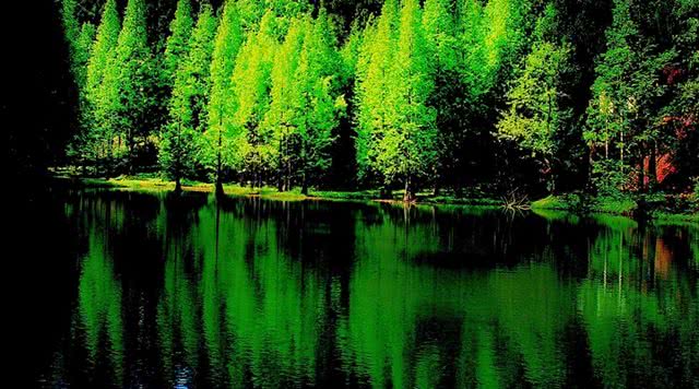 浙江有哪些有瀑布的旅游景点,浙江旅游景点推荐瀑布