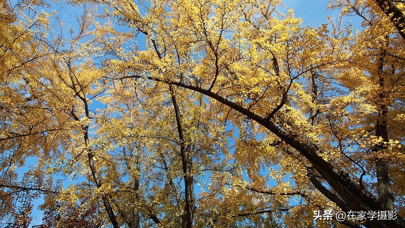 卡色uv镜和偏振镜哪个好,uv镜cpl偏光镜