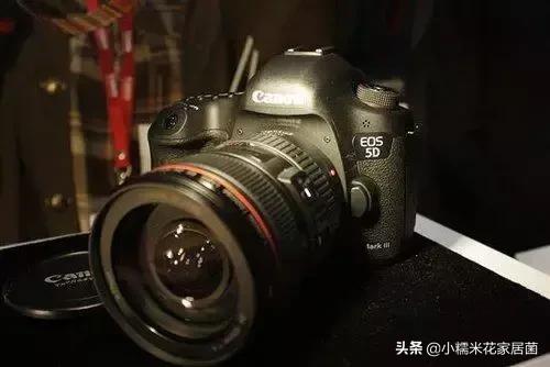 佳能和尼康单反相机锐度设置技巧,佳能和尼康哪个品牌的单反相机好