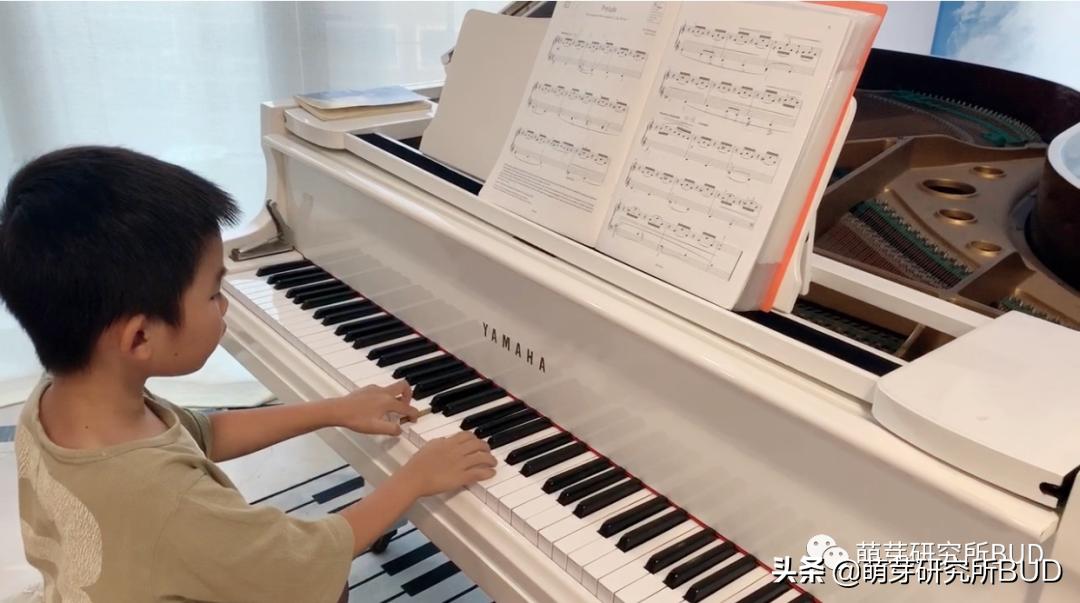 电钢琴和电子琴怎样组合,钢琴电子琴电钢琴区别