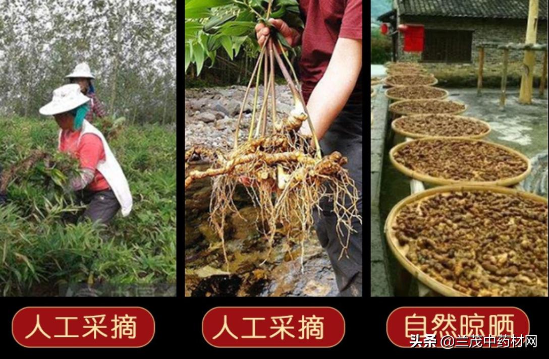 云南昆明中药材交易市场行情报价,6月份全国中药材市场药材行情