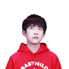 服装印花图案的流行趋势,面料单色印花图案大全