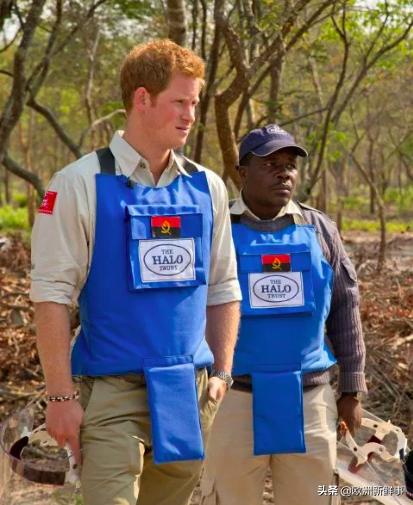 老婆孩子都不顾了？哈里难忘戴安娜王妃，执意重返非洲做慈善