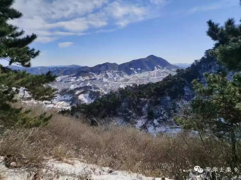 山大王的悠闲生活小说,山大王的日常生活