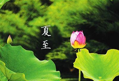 奇特的一天日记,奇特的一生