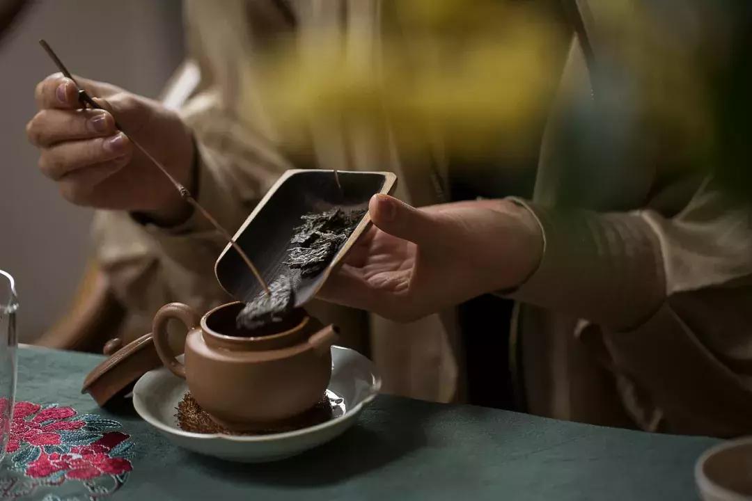 养胃喝什么茶好得快,养胃茶是什么茶最好最养胃