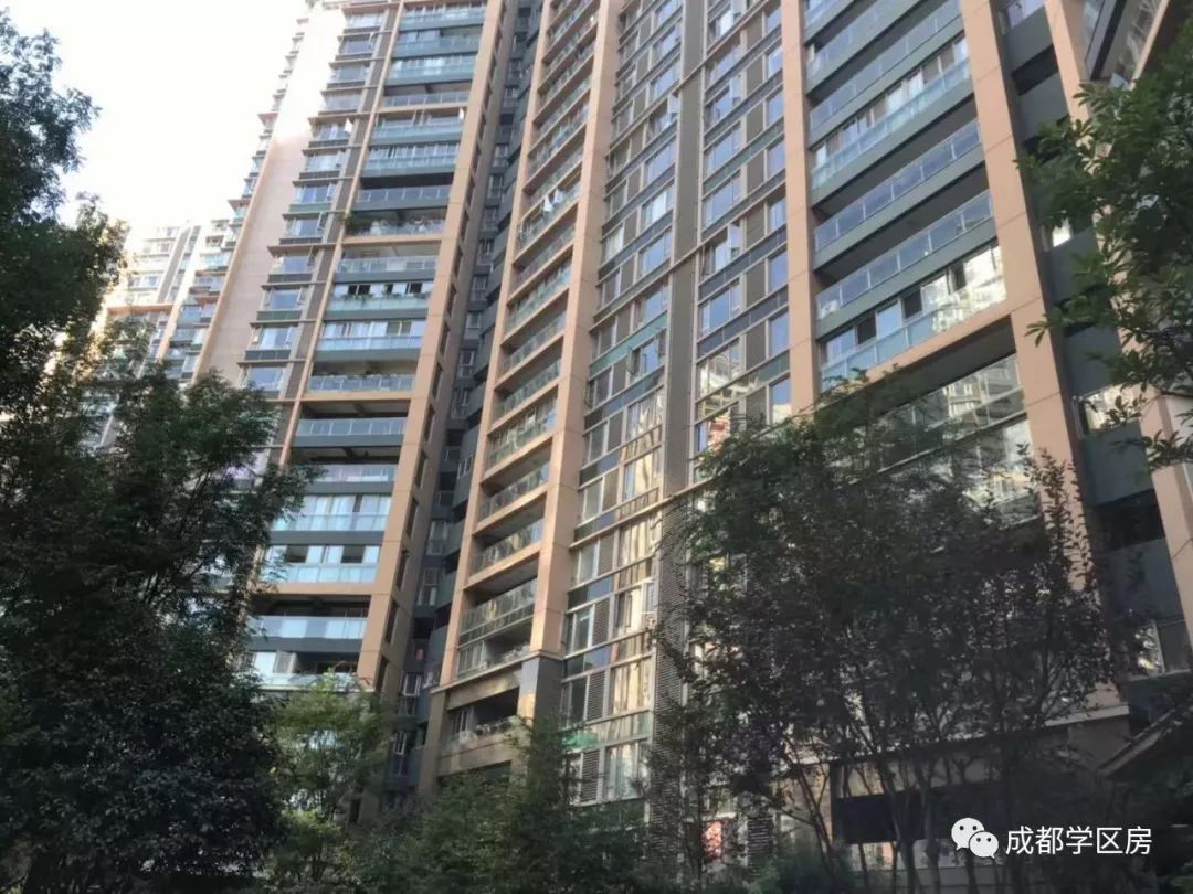 天府新区第五小学排名,天府新区a区学区房