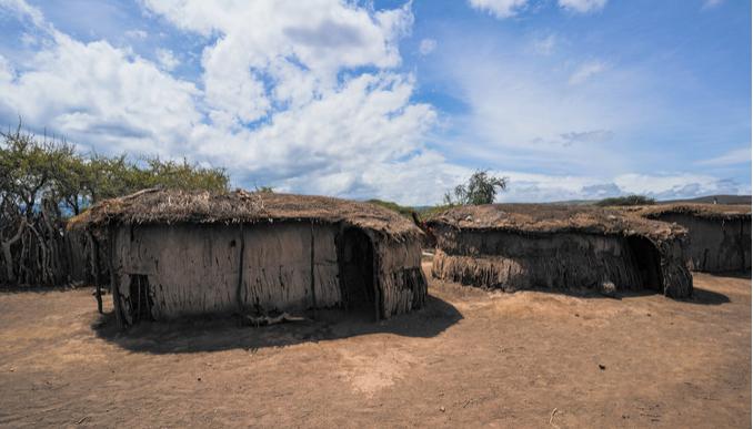 坦桑尼亚之旅,坦桑尼亚东非草原