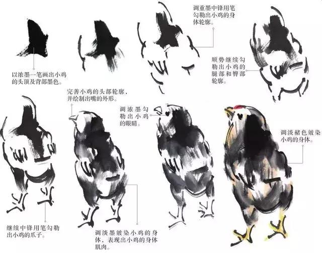 中国画中公鸡的写意画法,中国画鸡的学习方法