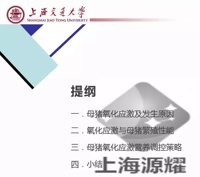 徐建雄教授讲座,徐建雄教授上海大学