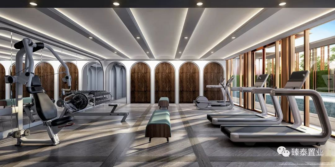 年轻生活！THEORIGIN拉差达性价比之王