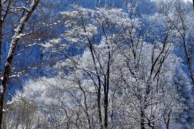 吉林省通化市柳河,吉林通化县柳河