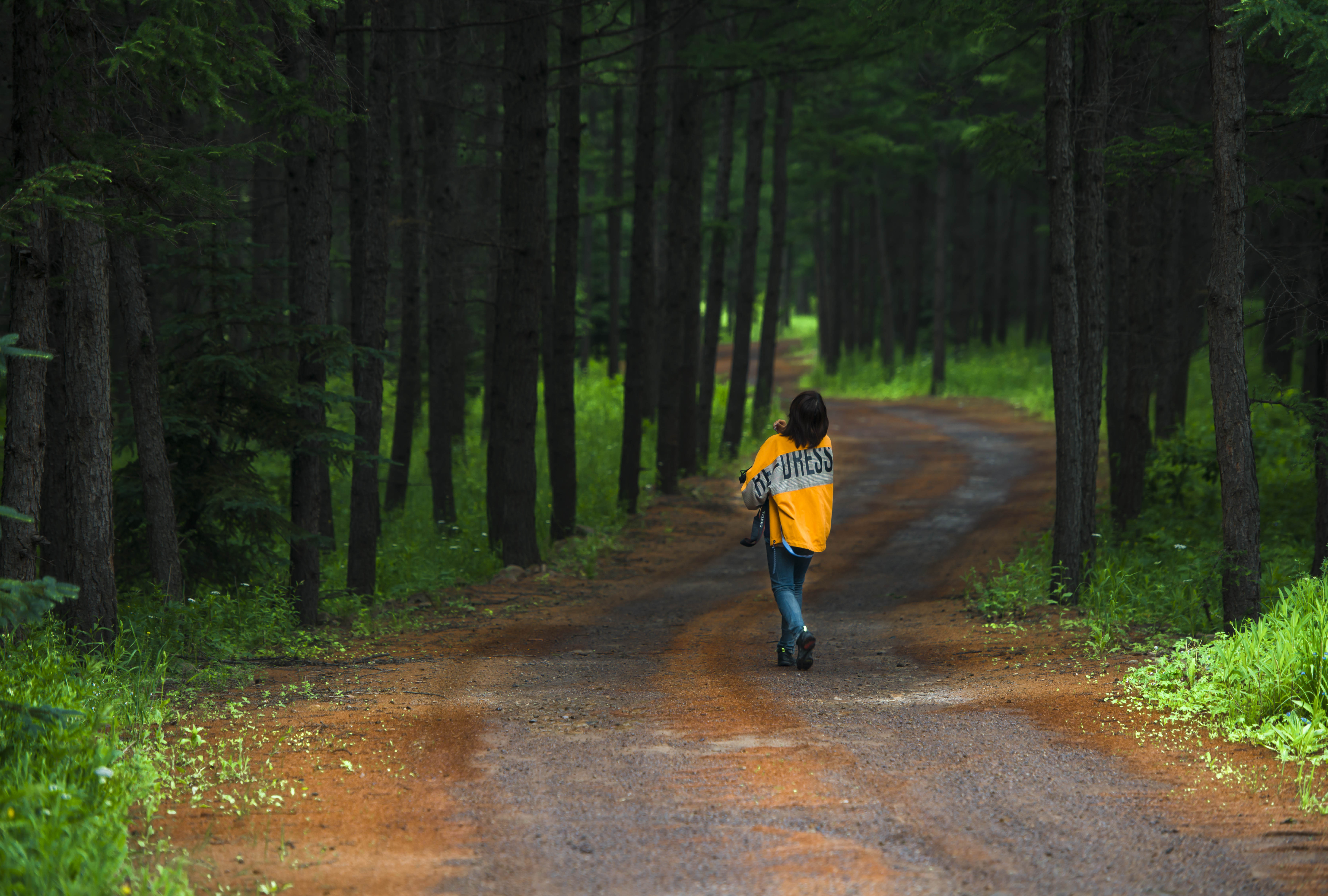 坝上草原照片高清图片,坝上草原风景图100张
