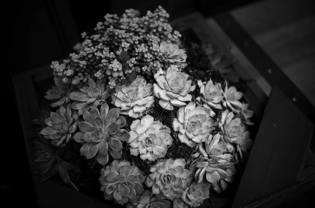 为什么黑白摄影比较经典,大师级的黑白摄影作品