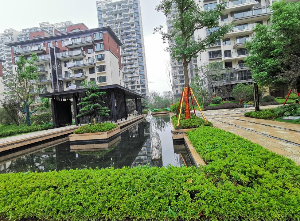 中国十大物业品牌排名,十大最强物业排名