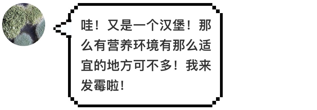 汉堡王又碰瓷麦当劳了,这次用的是发霉的汉堡