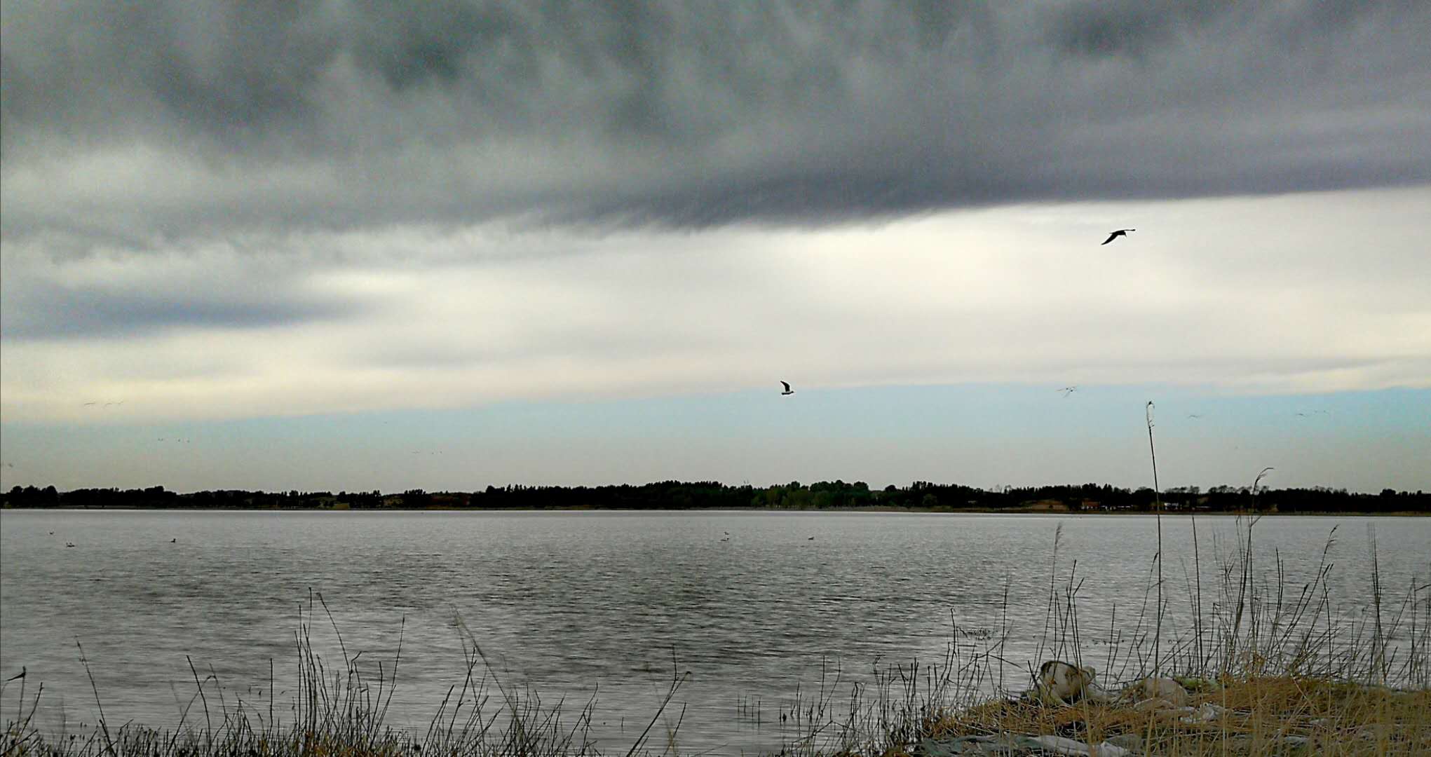 阿古拉草原景点大全,内蒙古阿古拉草原白塔