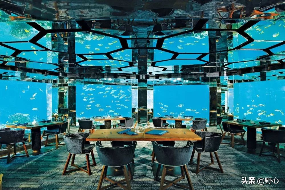 没能去马尔代夫旅游的原因,不会潜水去马尔代夫玩啥