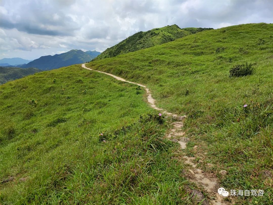 大山峰水牛坪露营记,东岸岭露营徒步