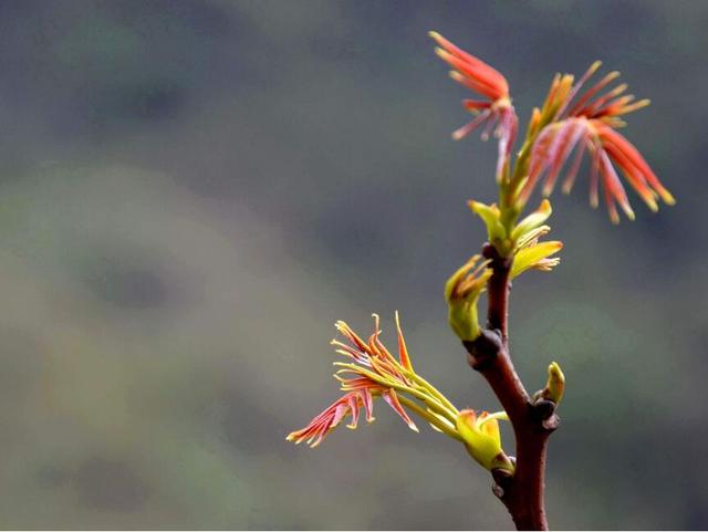 投资少收益快的农村致富项目,农村致富创业项目小本生意投资
