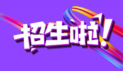 2019-2020学年智考小学招生简章