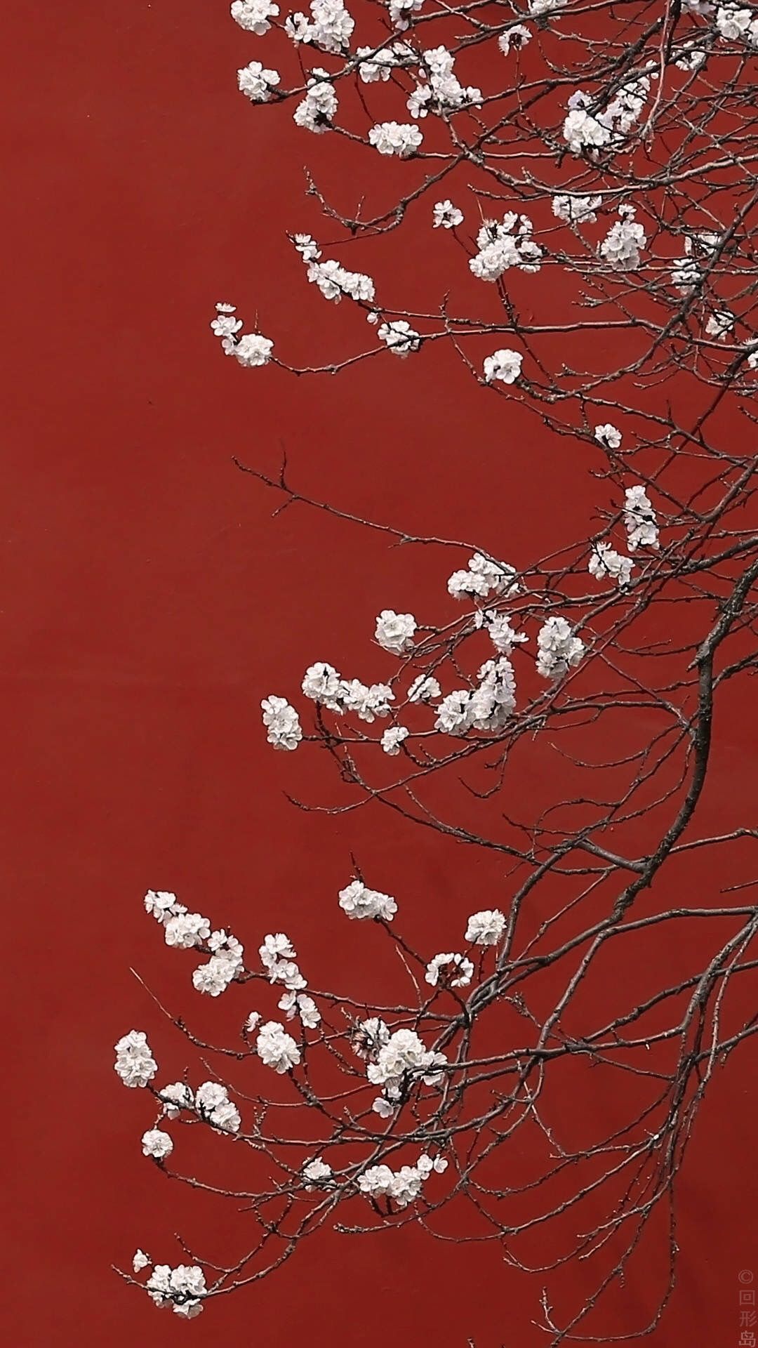 唯美意境古风高清壁纸,意境深幽古风壁纸高清