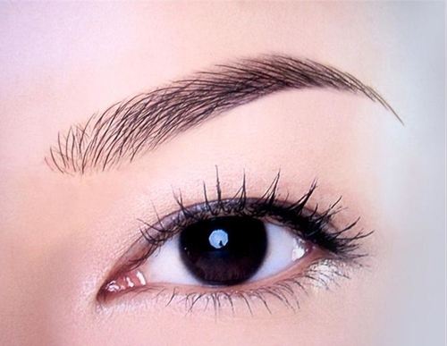 画眉不要碰到这样的雷区,眉毛总是画不好看