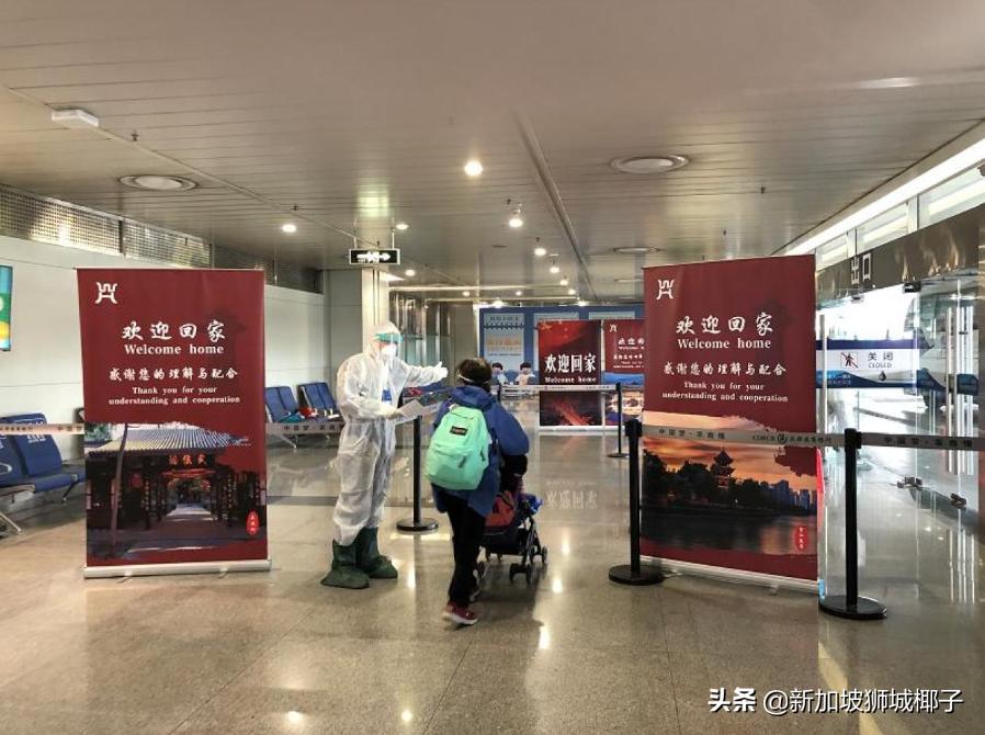 新航会降价么,新航恢复航线