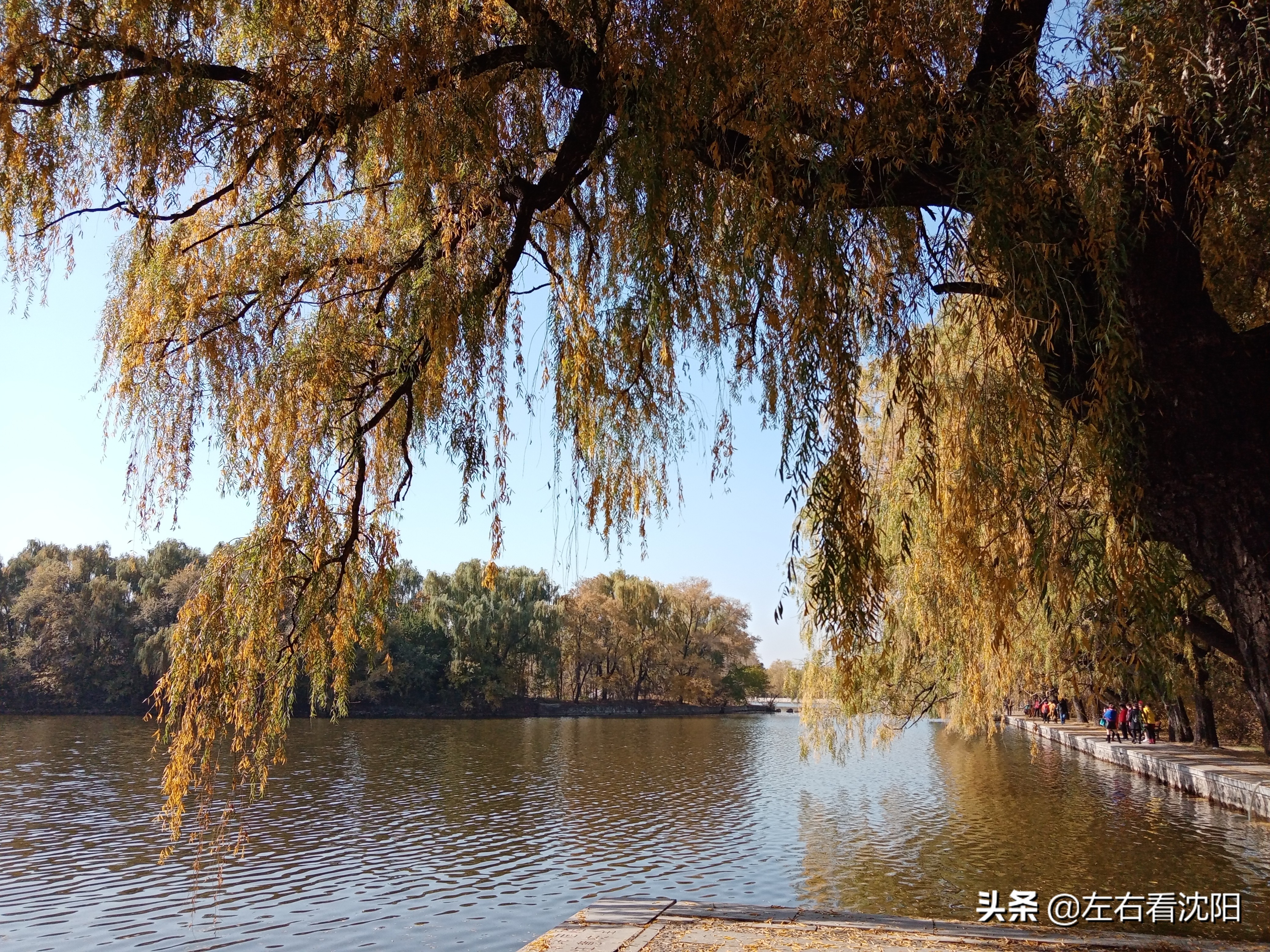 秋季沈阳北陵公园有啥好玩的,漫步沈阳北陵公园湖水边