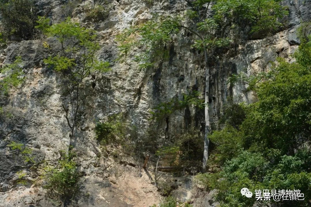 镇巴墓葬,白崖悬棺墓群