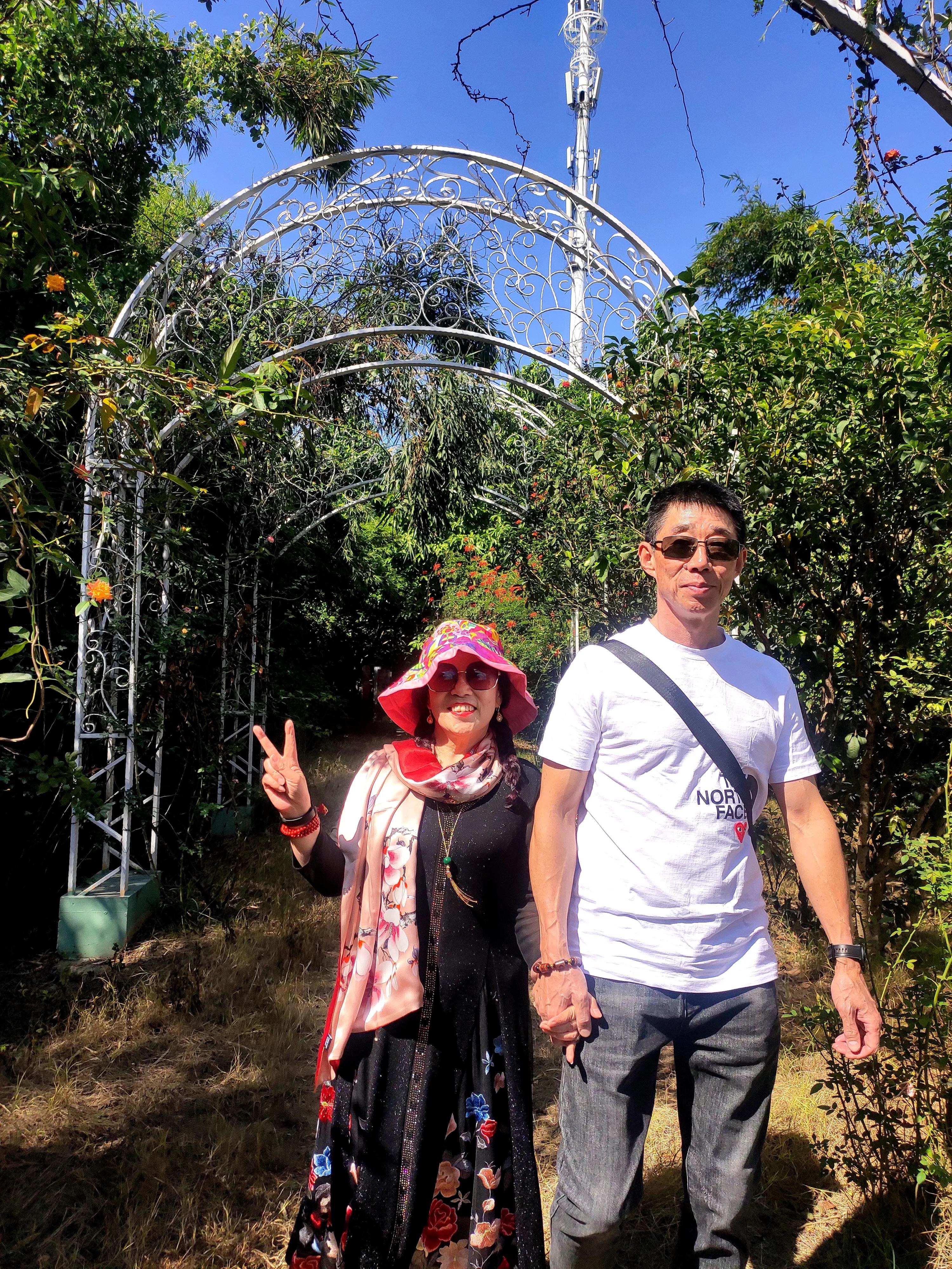 南沙好玩的地方百万葵园,广州南沙百万葵园几月份去最好