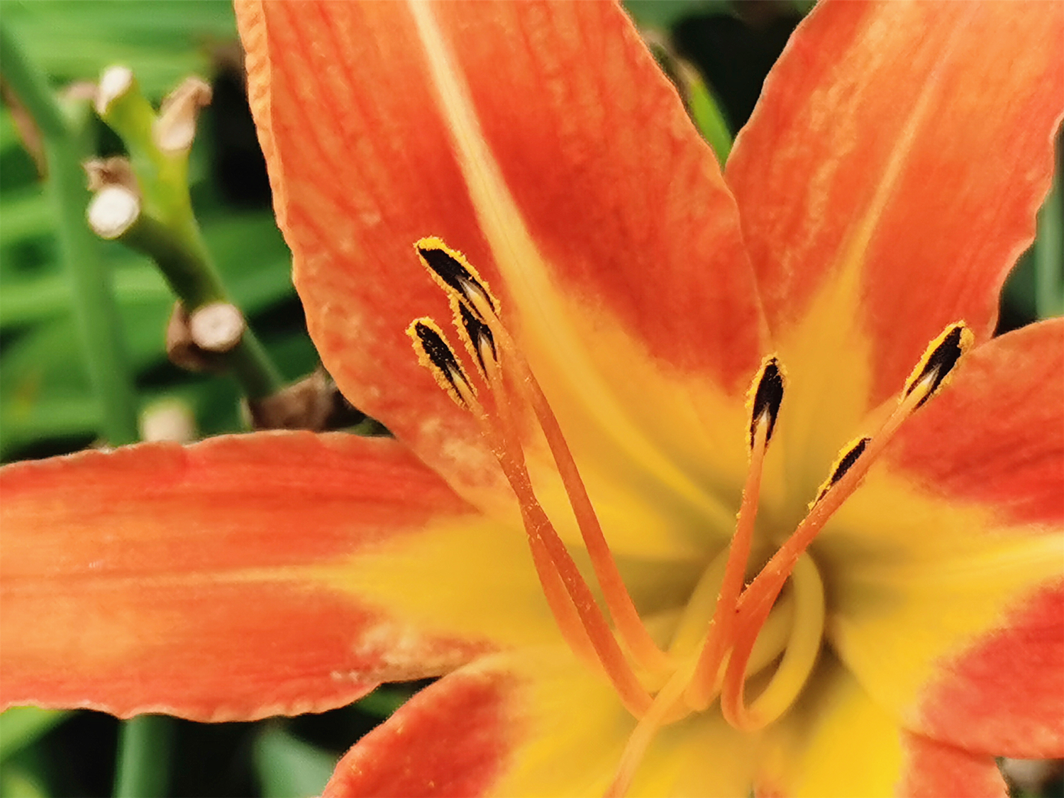 荣耀play4pro麒麟9905g信号怎么样,荣耀play4pro是麒麟9905g吗