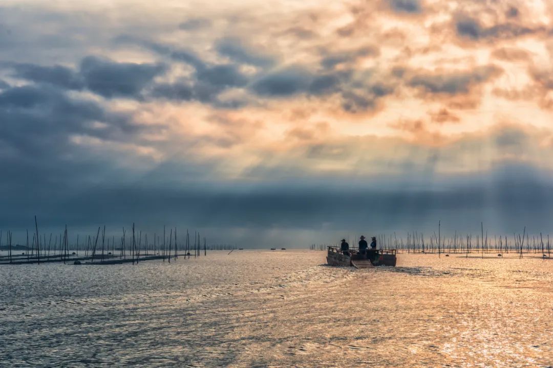 高登喜岸|七夕节我们只想……