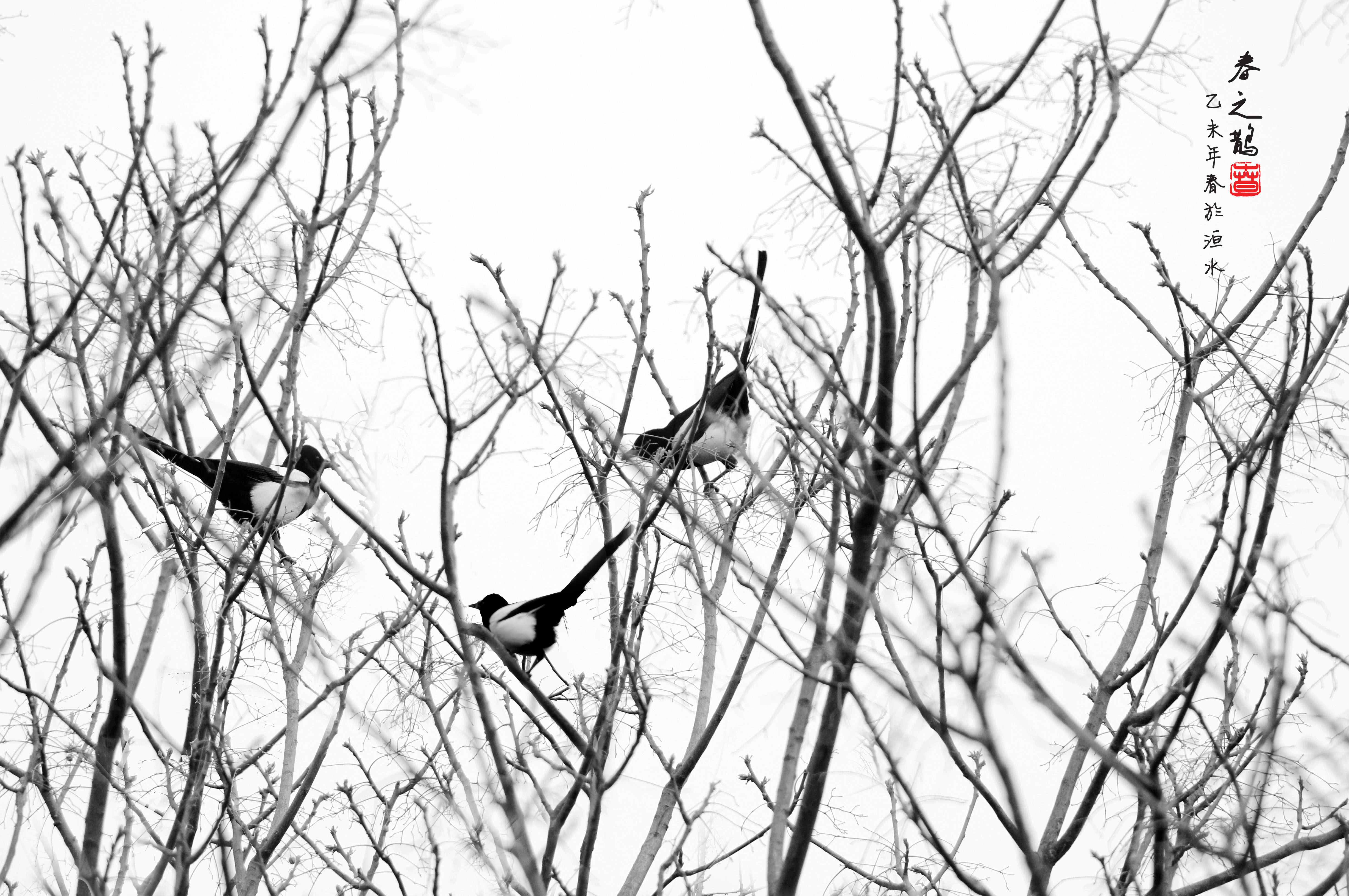 摄影作品创意人像摄影,摄影创作灵感图片