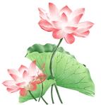 站桩周末完整版,站桩公益课视频