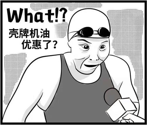 壳牌是一家怎么样的公司,壳牌属于什么性质的企业