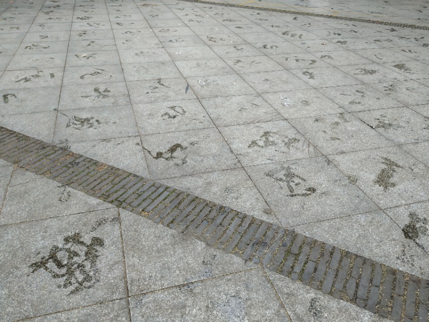 杭州古城门十门,杭州十大古城门