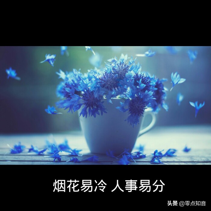 周杰伦烟花易冷是用烟嗓吗,周杰伦的烟花易冷经典