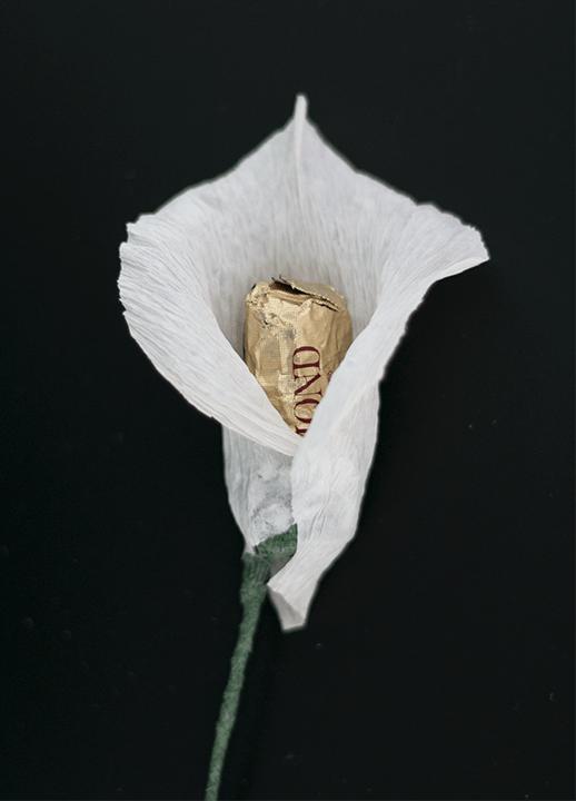 皱纹纸diy手工花朵,手工制作皱纹纸立体花