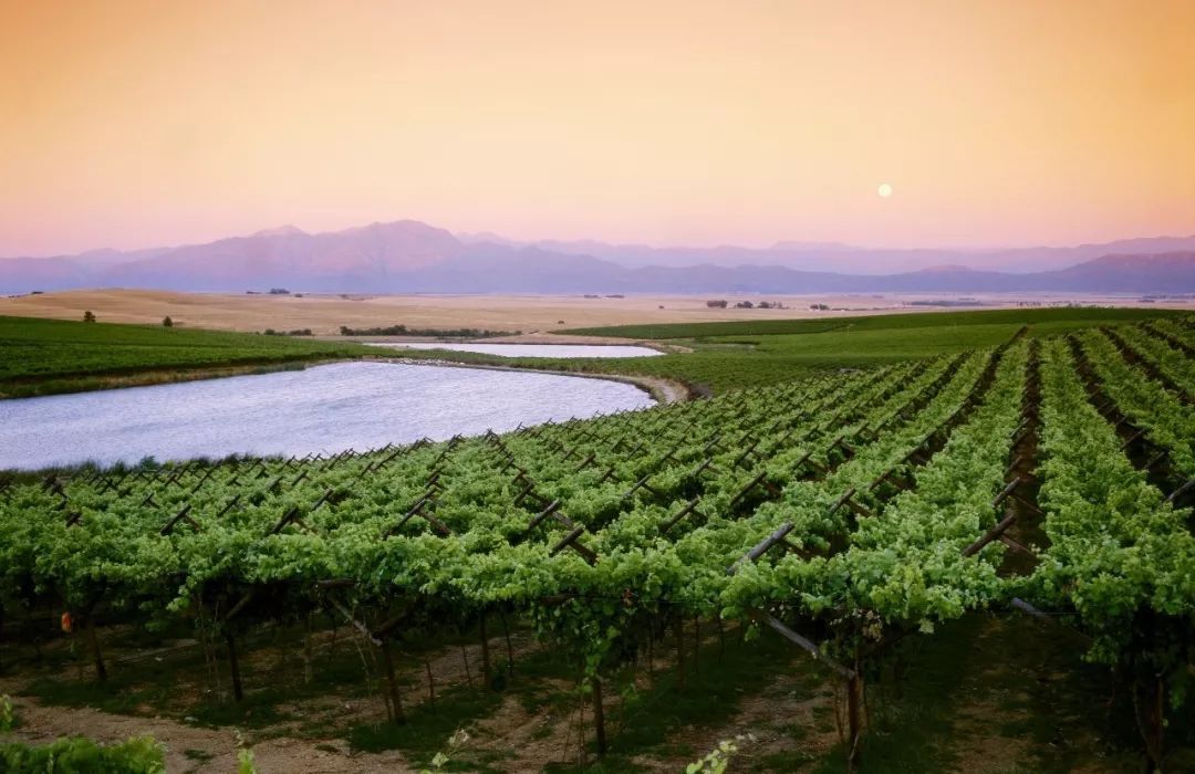 南非红酒最好的酒庄是哪个,南非红酒最好的酒庄排名